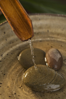 Water pouring out of plant stalk into bowl with stones.