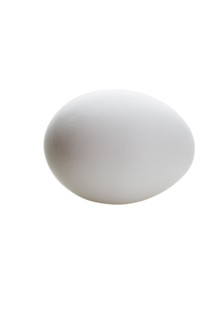 Close up of chicken egg.