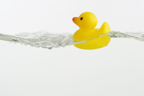 Rubber duck toy in water.