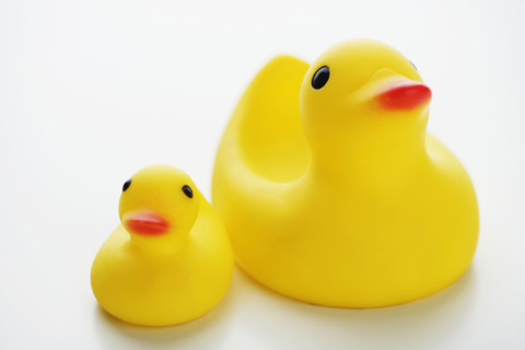 Studio shot of rubber duck toys.