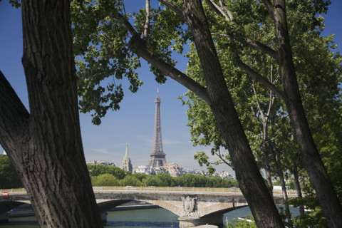 View through trees to Eiffel Tower.