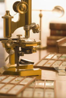 Old fashioned microscope and slides.