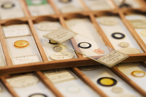 Close up of old fashioned microscope slides.