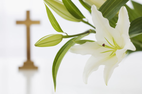 Close up of flowers with cross in background.