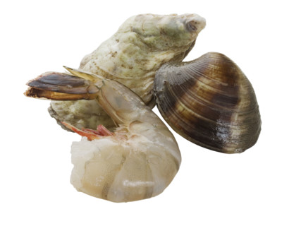 Close up of shrimp, oyster and clam.