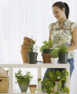 Woman potting plants.