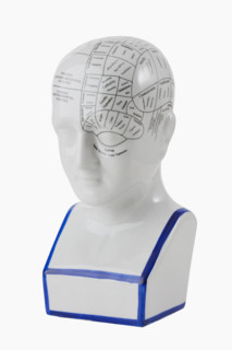 Close up of phrenology head diagram.