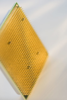 Close up of computer chip.