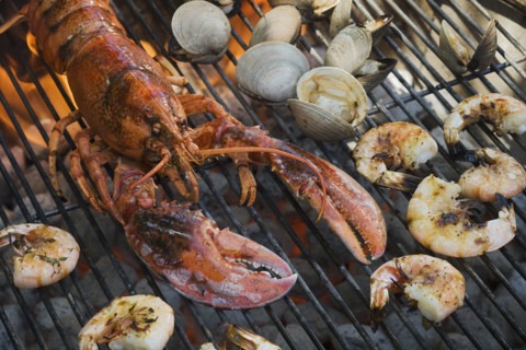 Lobster, shrimp and clams cooking on grill.