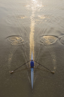 High angle view of person sculling.