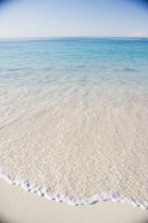 Sandy shoreline. Date : 2006