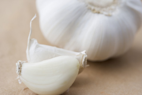 Still life of a clove of garlic. Date : 2006
