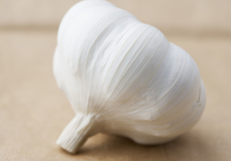 Still life of a head of garlic. Date : 2006
