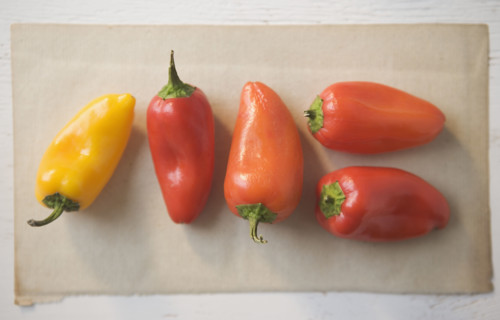 Still life of peppers. Date : 2006