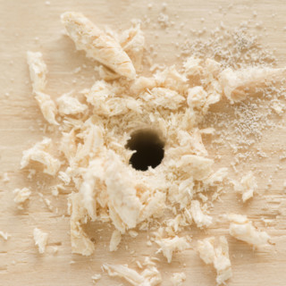 Close up of hole drilled in wood. Date : 2006