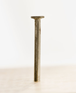 Close up of nail in wood. Date : 2006