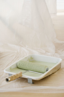 Close up of paint roller in tray. Date : 2006