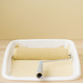 Close up of paint roller in tray. Date : 2006
