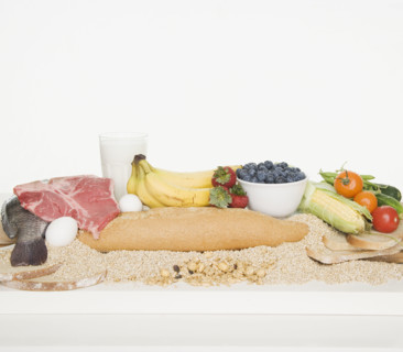 Studio shot of the four food groups. Date : 2006