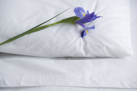 Closeup of pillow and bed sheets with  flower. Date : 2006