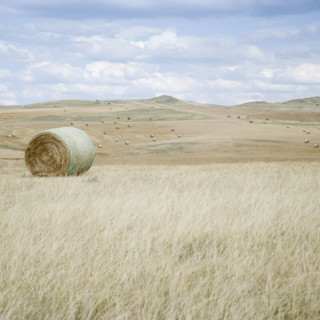 Hay bales southern Montana USA. Date : 2006