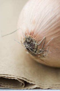 Still life of an onion. Date : 2006