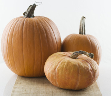 Still life of pumpkins. Date : 2006