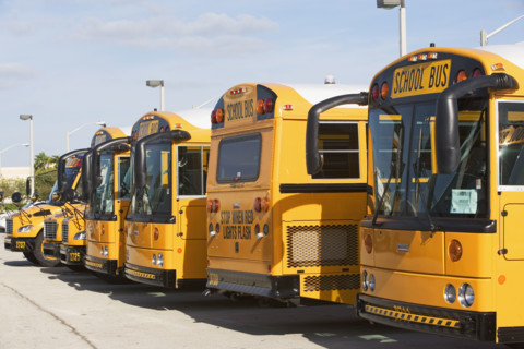 Row of school buses. Date : 2007