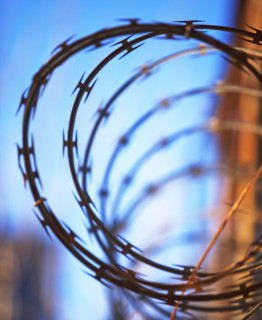 Close up of coiled razor wire. Date : 2007