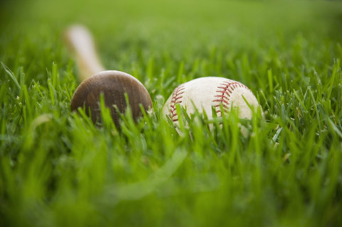 Bat and baseball laying on grass. Date : 2006