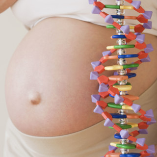 Pregnant woman next to DNA model. Date : 2007