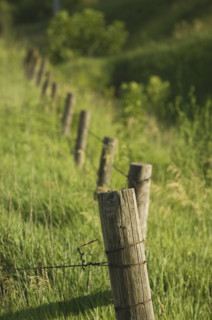 Close up of wooden fence. Date : 2007