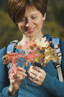 Woman holding autumn leaves, Utah, United States. Date : 2007