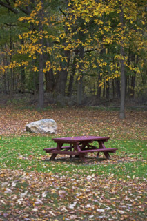 autumn scene . Date : 2007