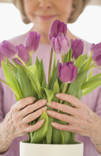 Senior woman arranging flowers.