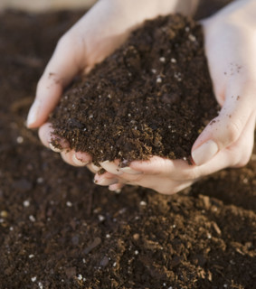 Woman holding handful of soil.