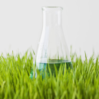 Beaker with liquid in grass.