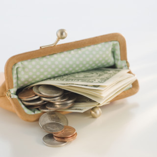 Money in open change purse.