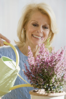 Senior woman watering plant.