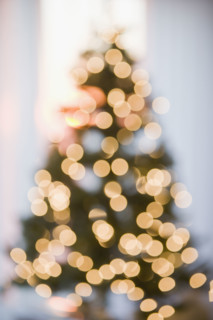 Defocused shot of Christmas tree.