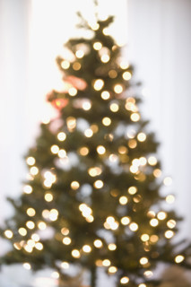 Defocused shot of Christmas tree.
