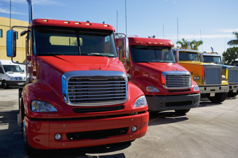new trucks in a row. Date : 2008