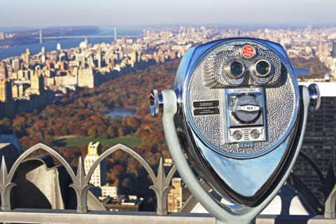 stationary viewer and Central Park, New York City. Date : 2008
