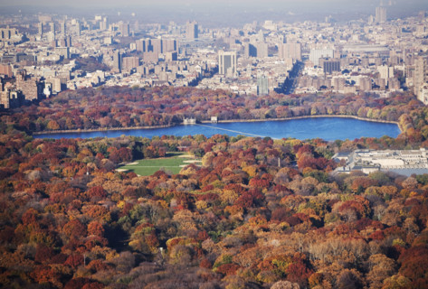 New York City, Central Park. Date : 2008