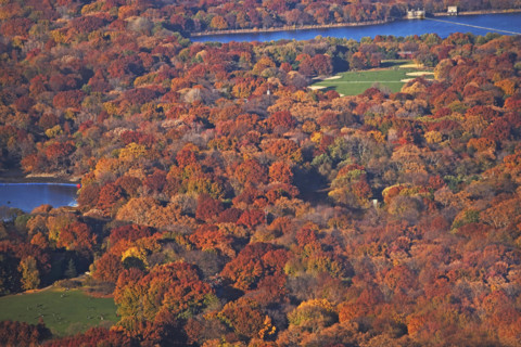 New York City, Central Park. Date : 2008
