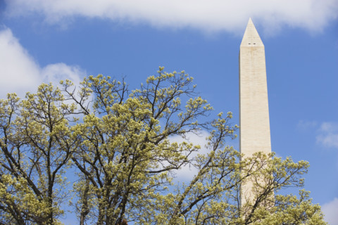 Washington Monument, Washington DC, United States. Date : 2008