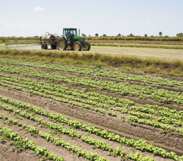 Tractor spraying field, Florida, United States. Date : 2008