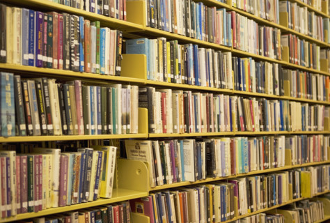 books on library shelves. Date : 2008