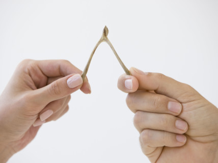 Close up of couple pulling wishbone.