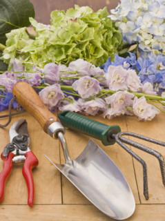 Flowers and gardening supplies.